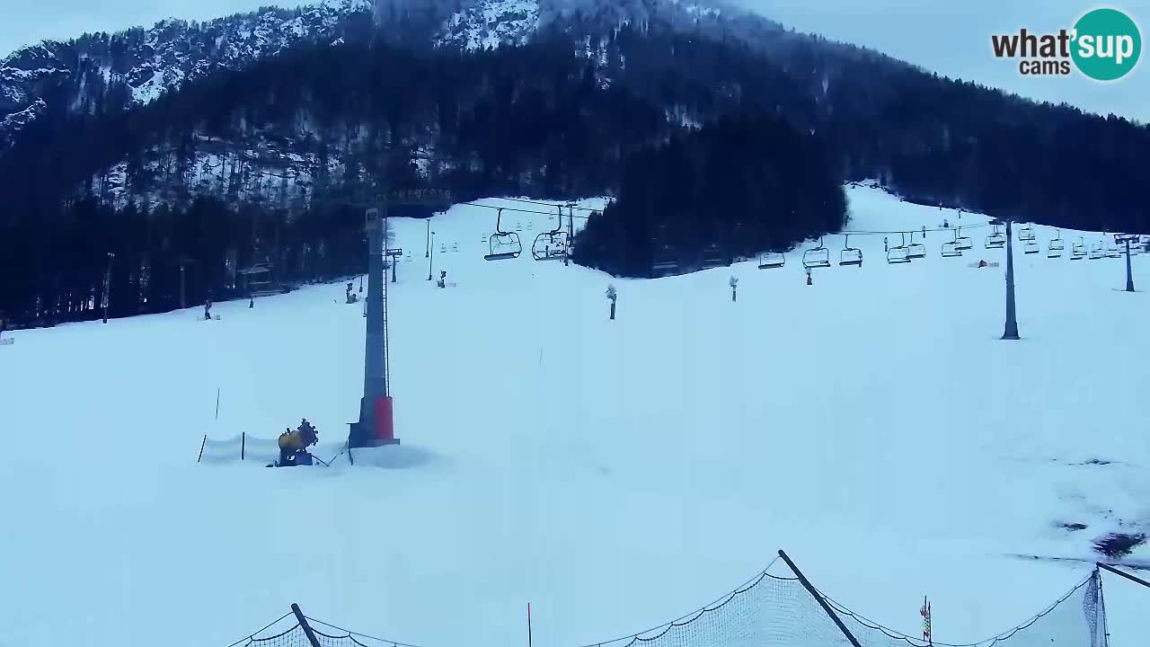 LIVE-Kamera SKI Kranjska Gora – Vitranc – Slowenien