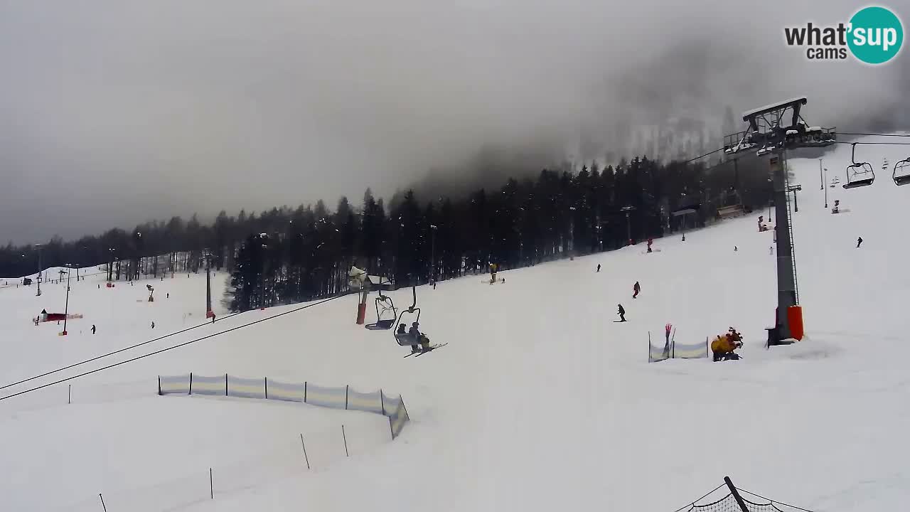 Bike Park Kranjska Gora