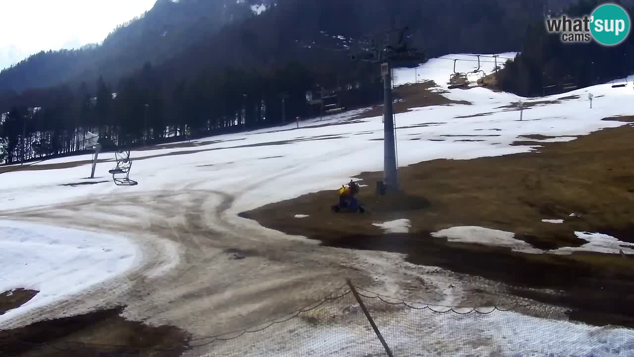 LIVE cam SKI Kranjska Gora – Vitranc – Slovenia
