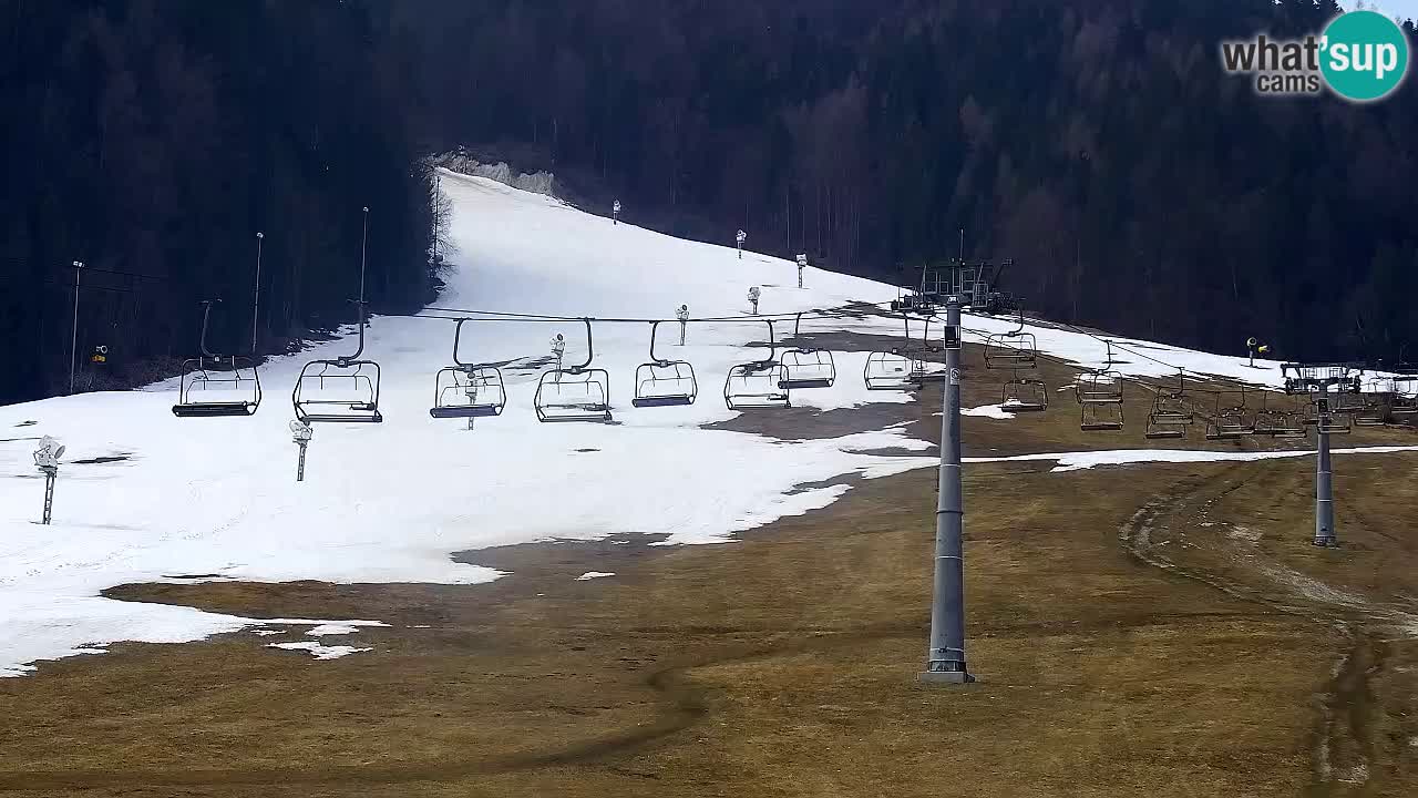 LIVE-Kamera SKI Kranjska Gora – Vitranc – Slowenien
