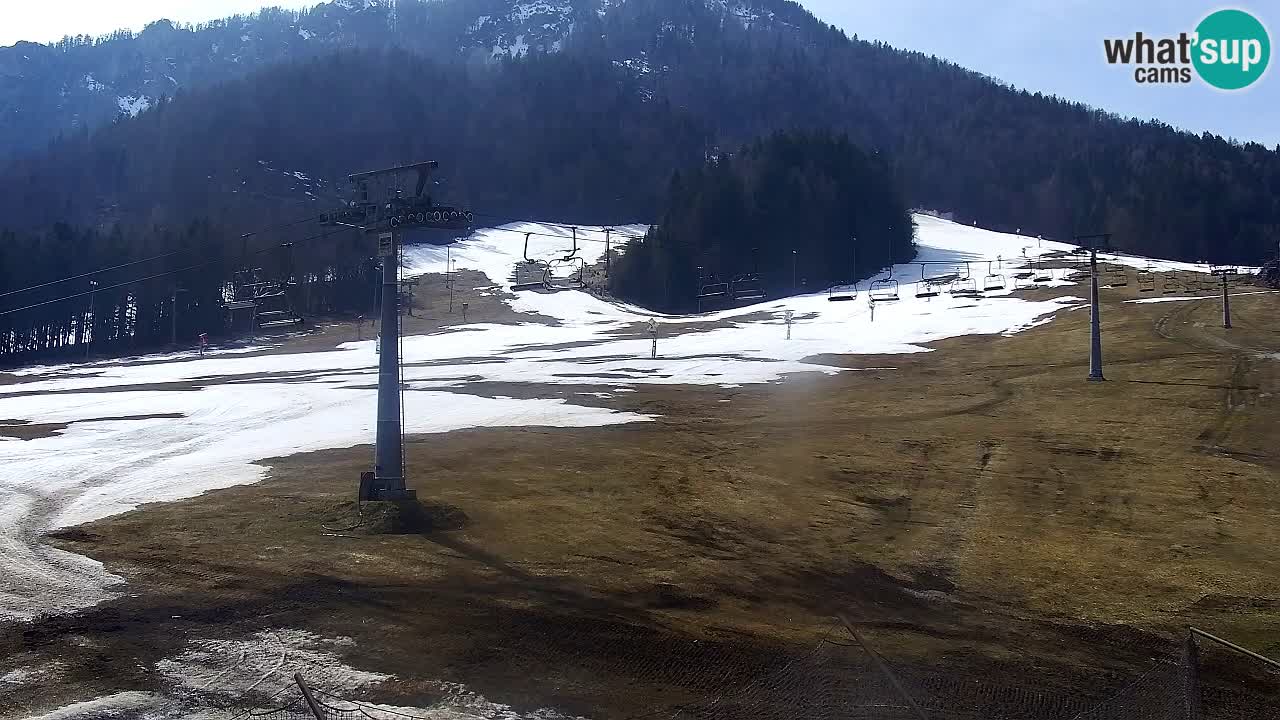 Kranjska Gora Live Cam Vitranc 1 | SKI Resort