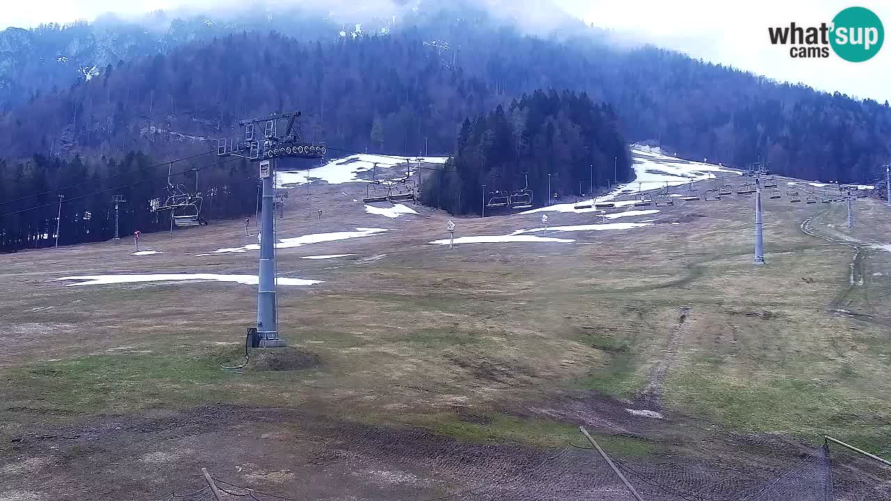 Webcam Kranjska Gora Vitranc | Smučarska proga Vitranc 1