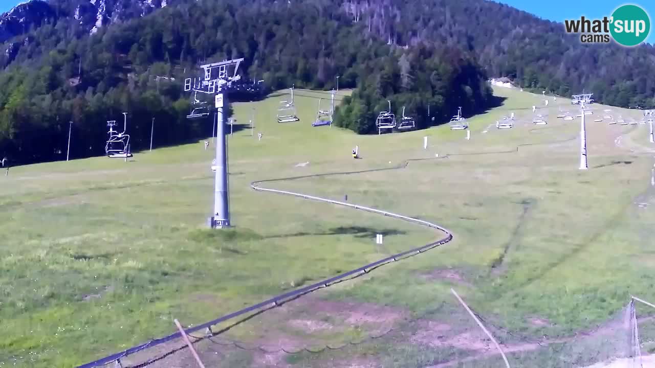 Webcam Kranjska Gora Vitranc | Smučarska proga Vitranc 1