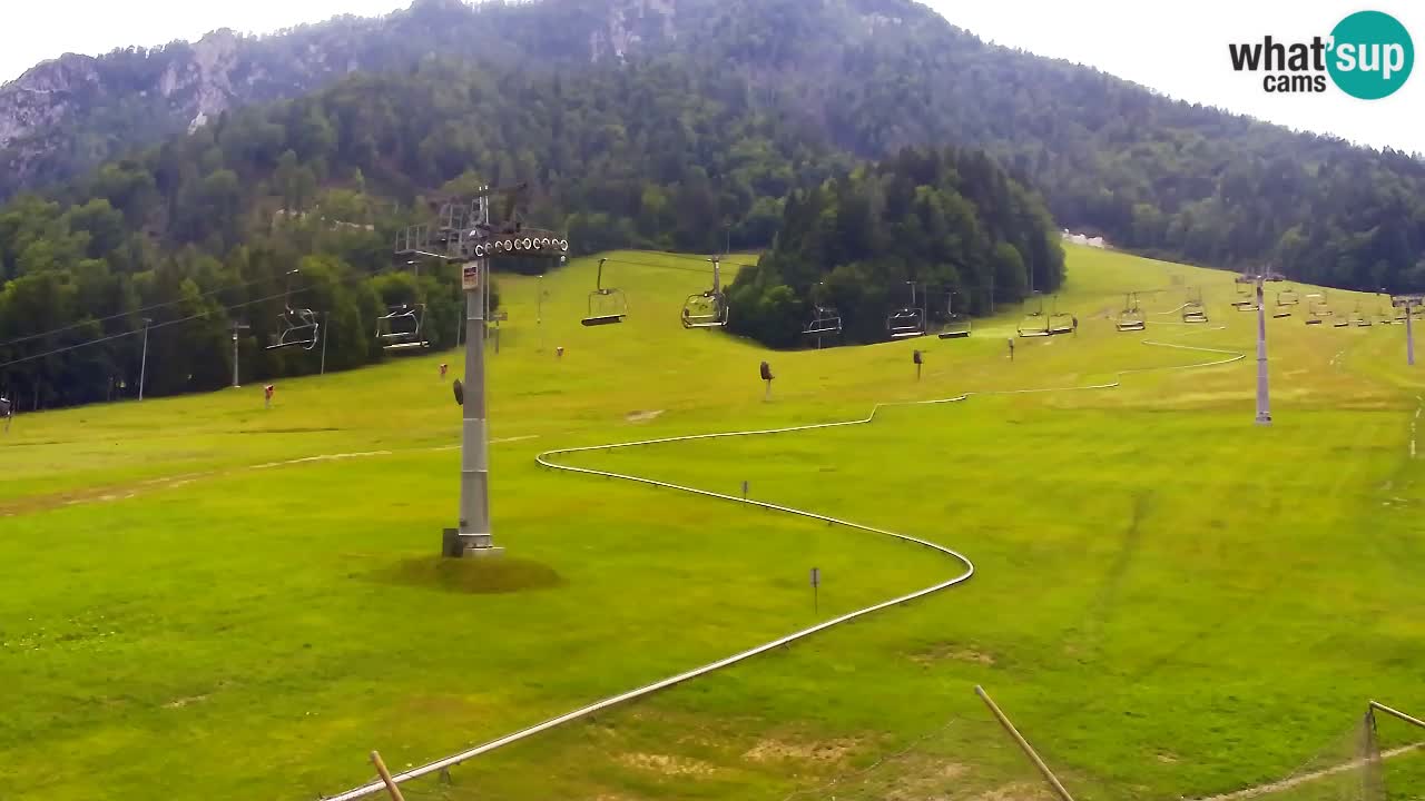 Kranjska Gora Live Cam Vitranc 1 | SKI Resort
