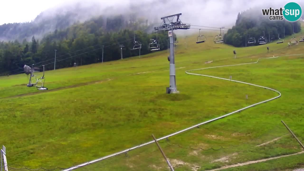 LIVE-Kamera SKI Kranjska Gora – Vitranc – Slowenien