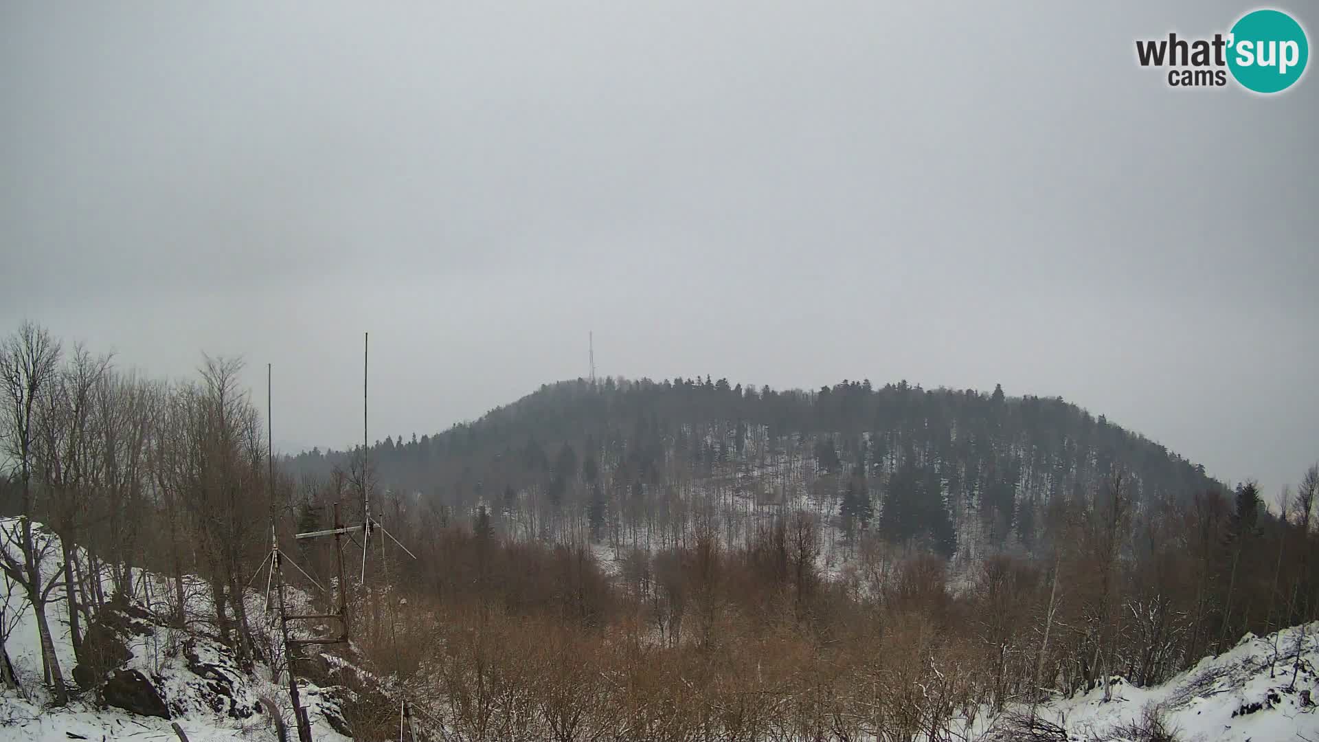 Krim Web cam Berghütte | Blick auf Ljubljana – Slowenien