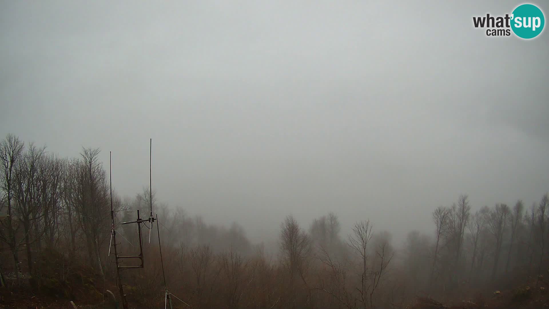 Krim Web cam Berghütte | Blick auf Ljubljana – Slowenien