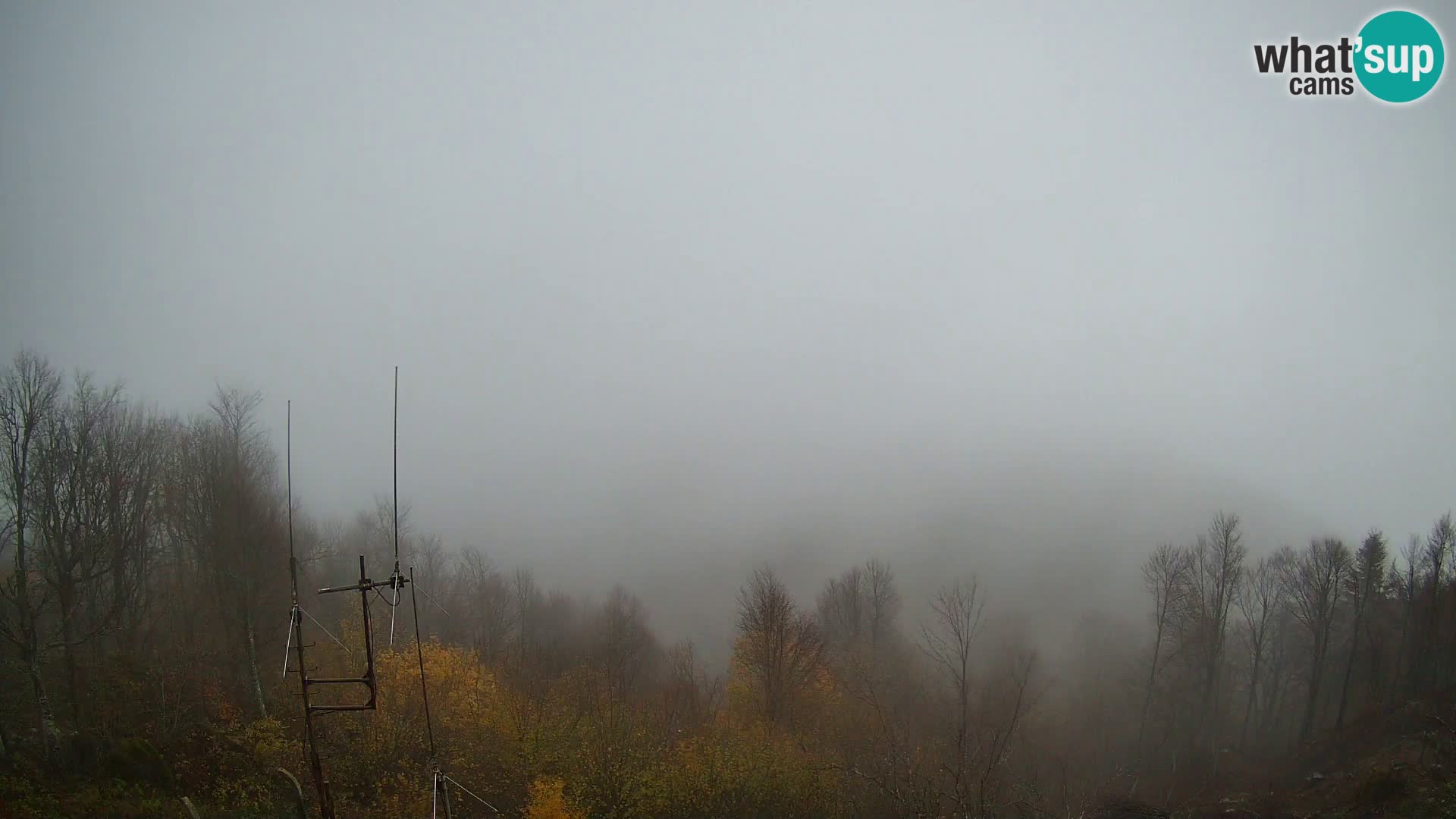 Krim web kamera Planinska koliba | pogled na Ljubljanu – Slovenija