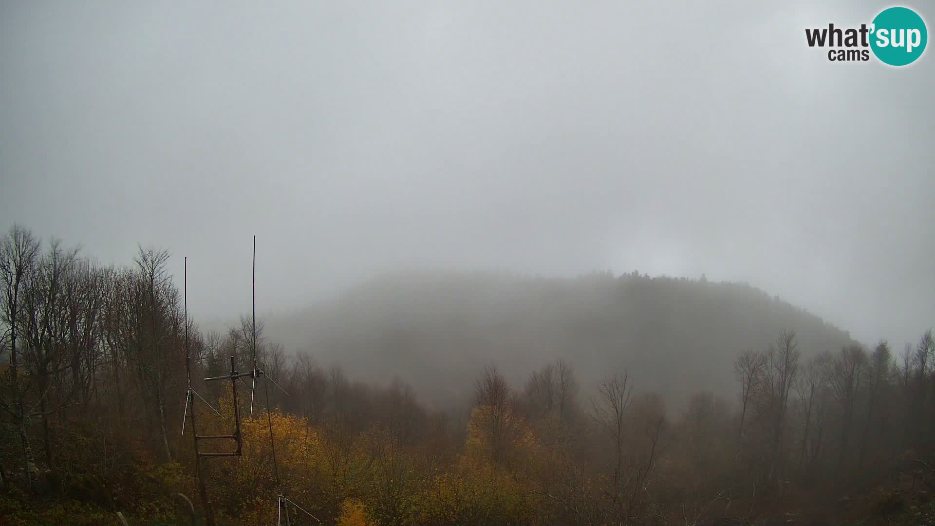 Krim web kamera Planinska koliba | pogled na Ljubljanu – Slovenija