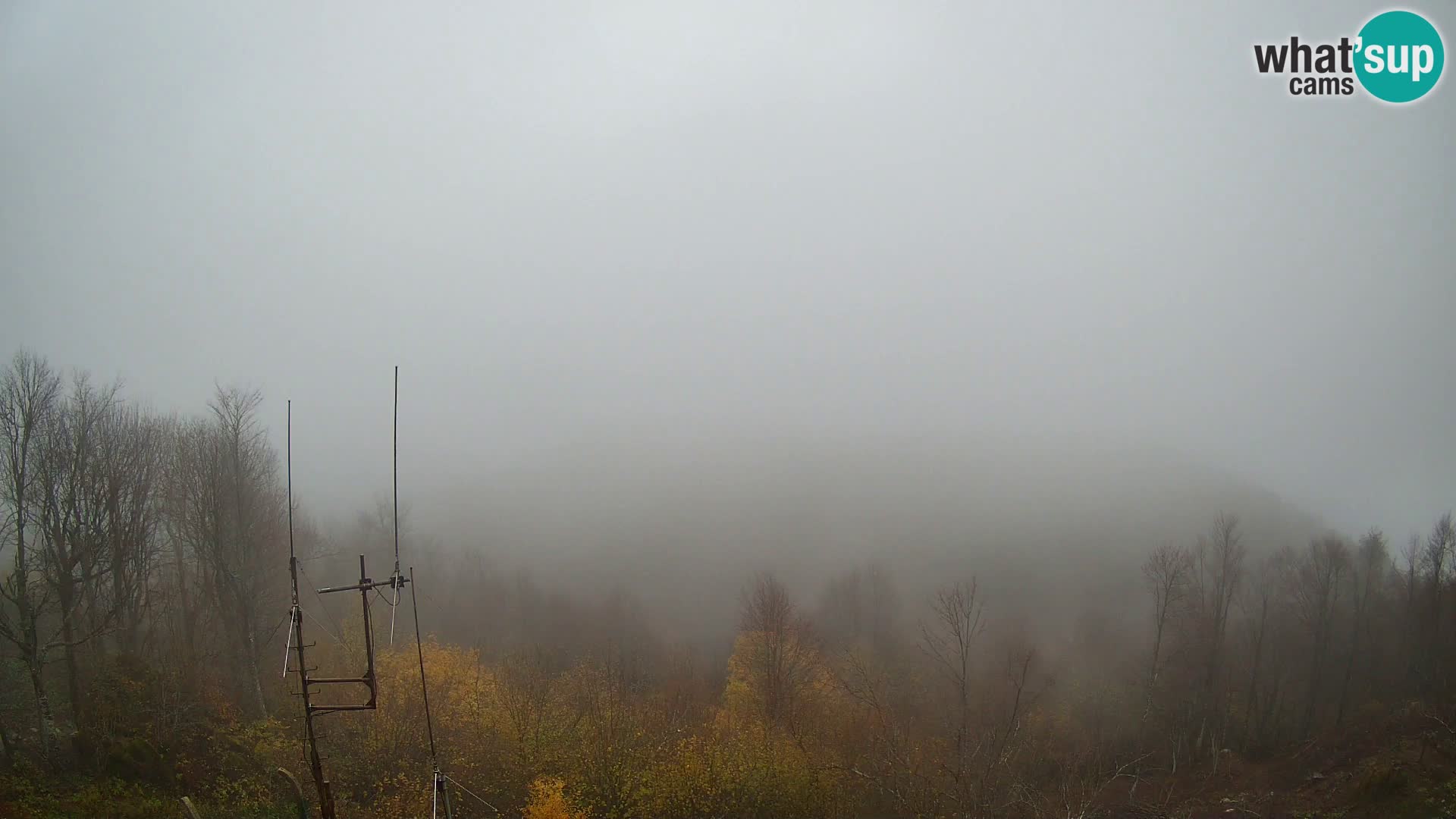 Krim web kamera Planinska koliba | pogled na Ljubljanu – Slovenija