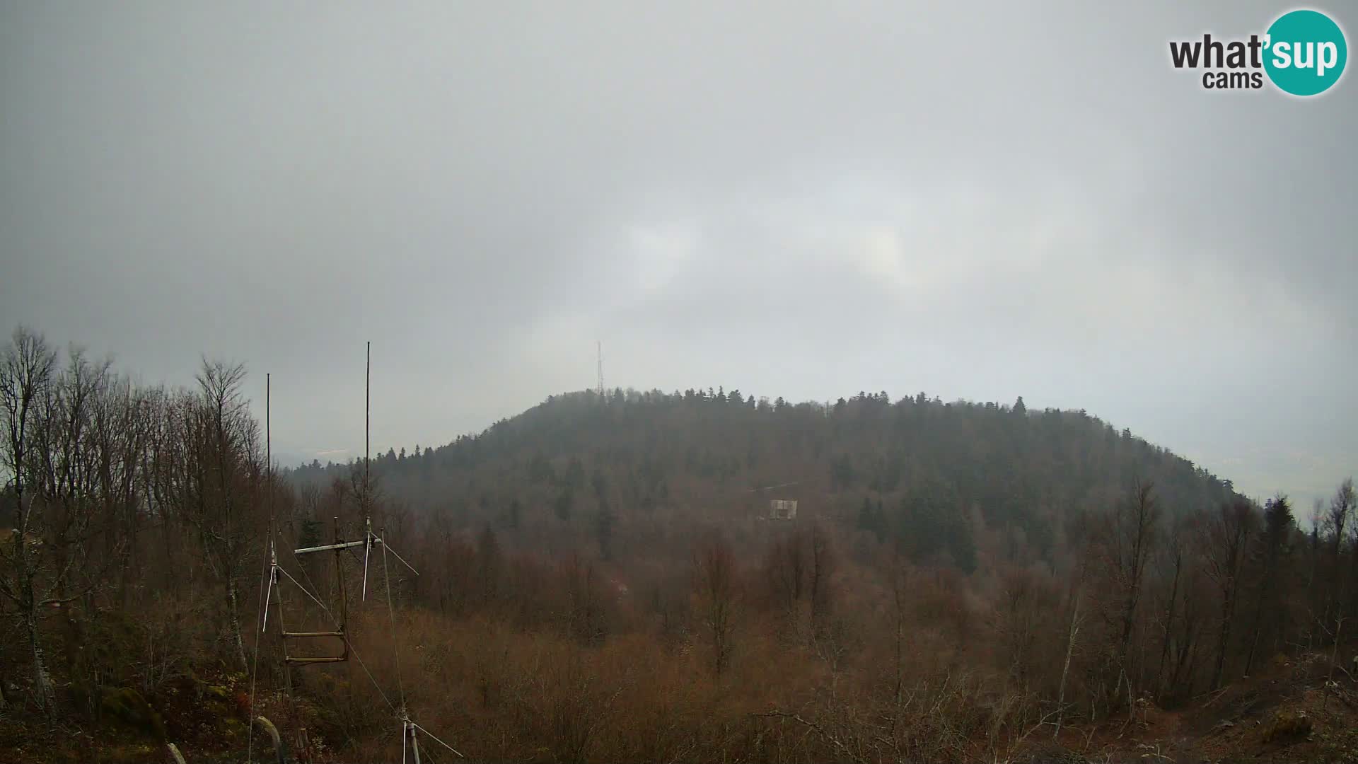 Krim web kamera Planinska koliba | pogled na Ljubljanu – Slovenija