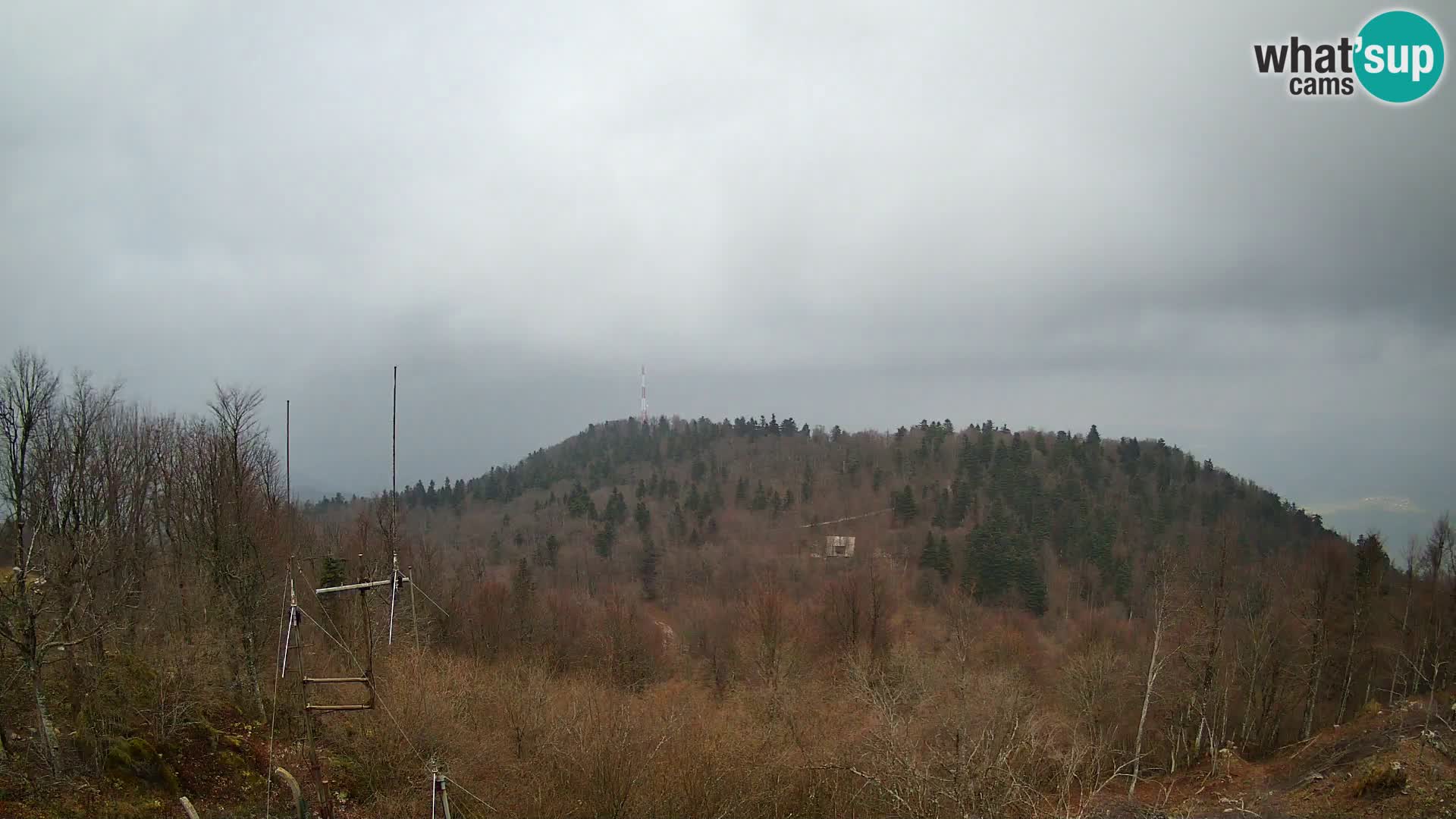 Krim web kamera Planinska koliba | pogled na Ljubljanu – Slovenija