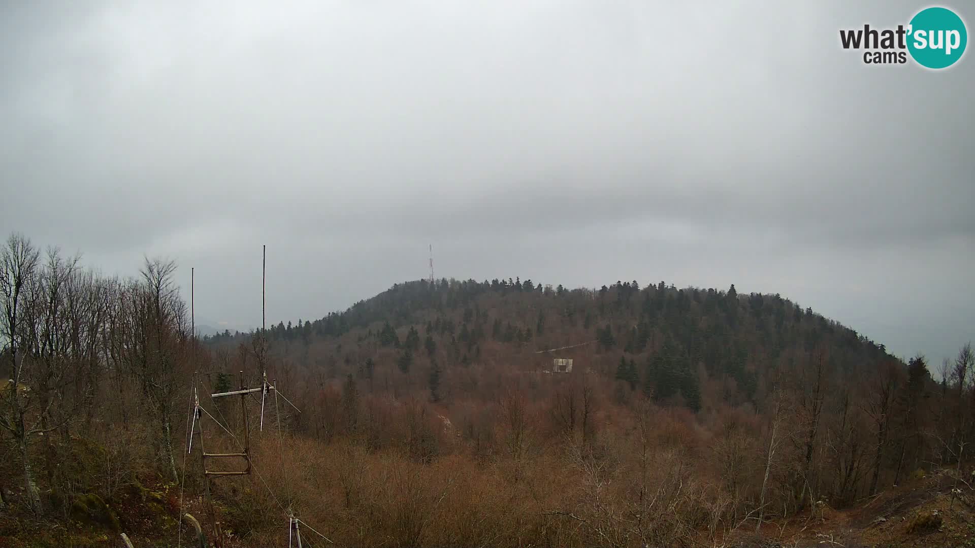 Krim web kamera Planinska koliba | pogled na Ljubljanu – Slovenija