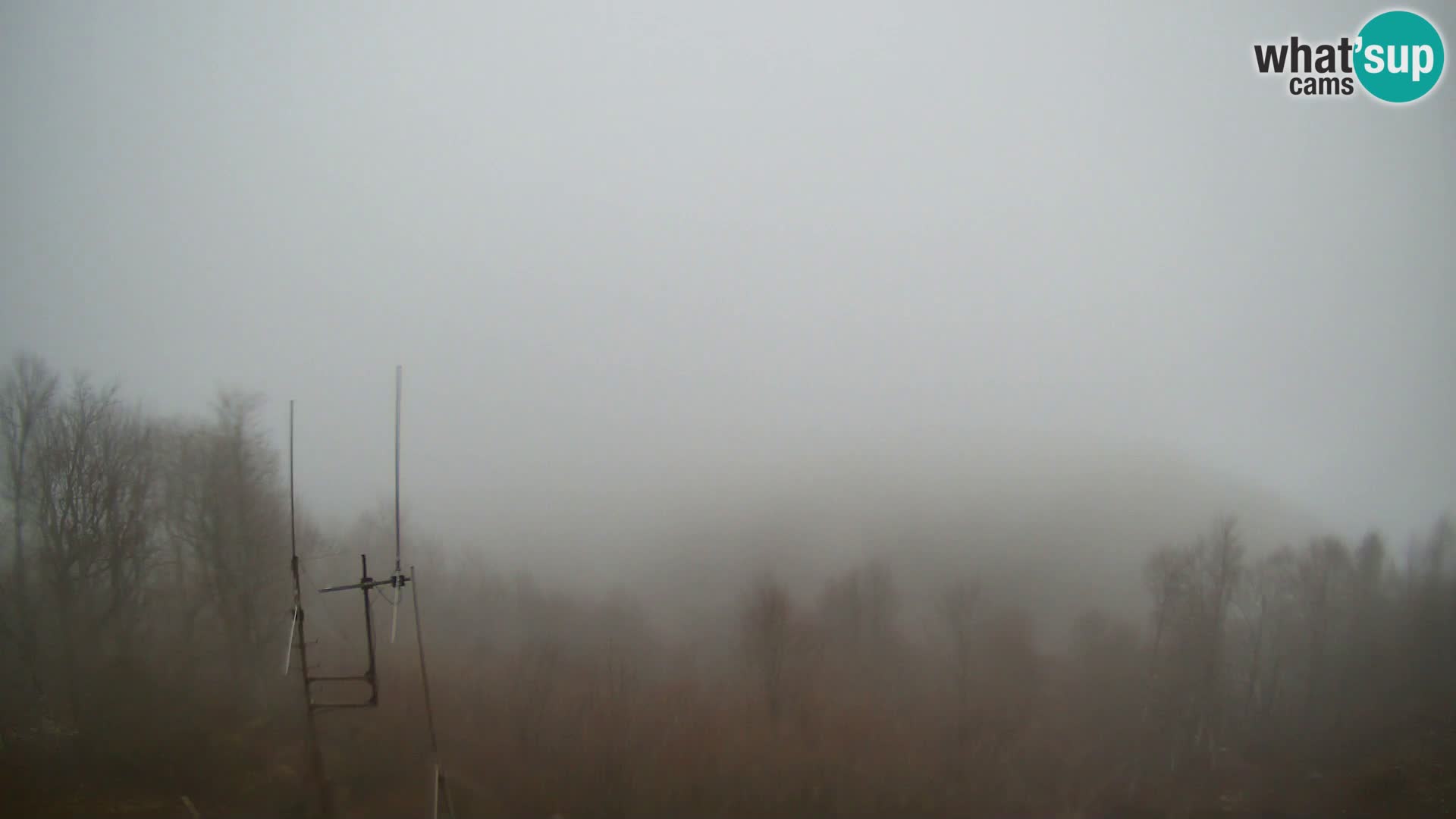 Krim web kamera Planinska koliba | pogled na Ljubljanu – Slovenija