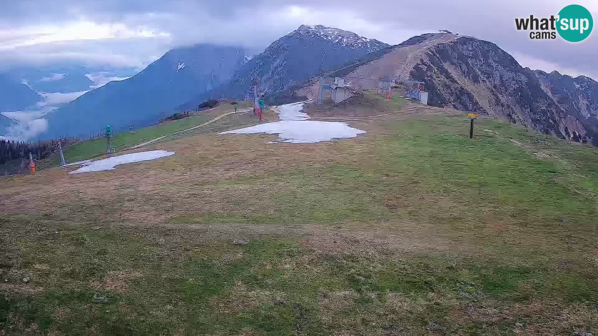 Krvavec livecam