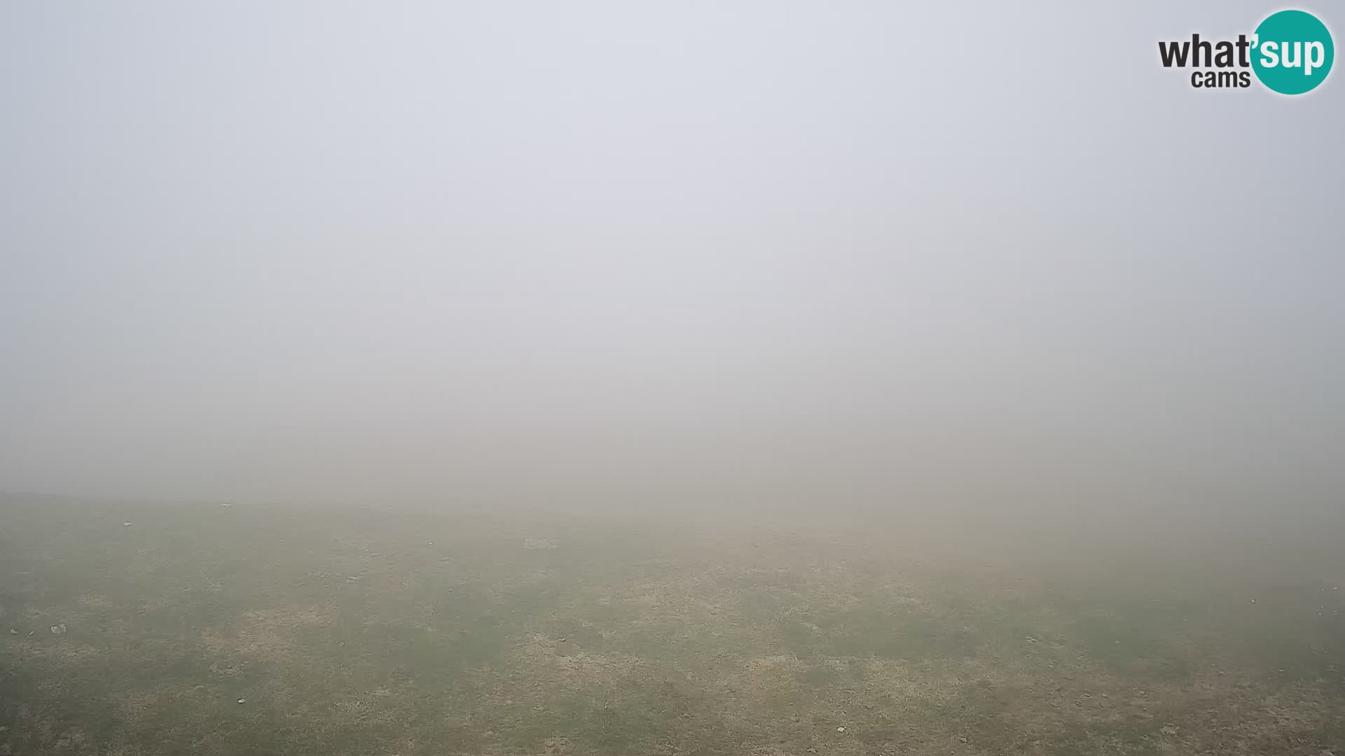 Krvavec livecam