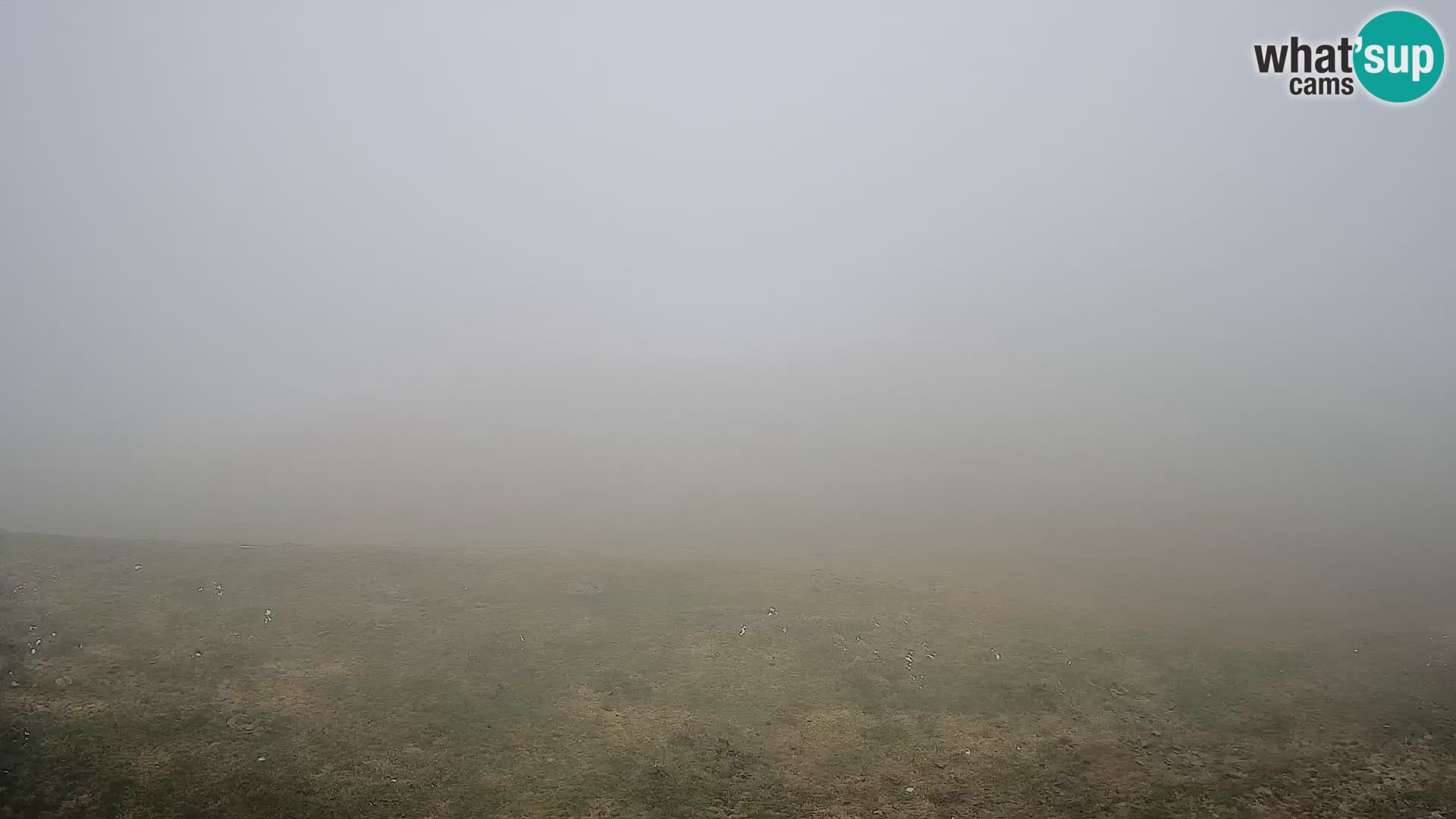 Krvavec livecam