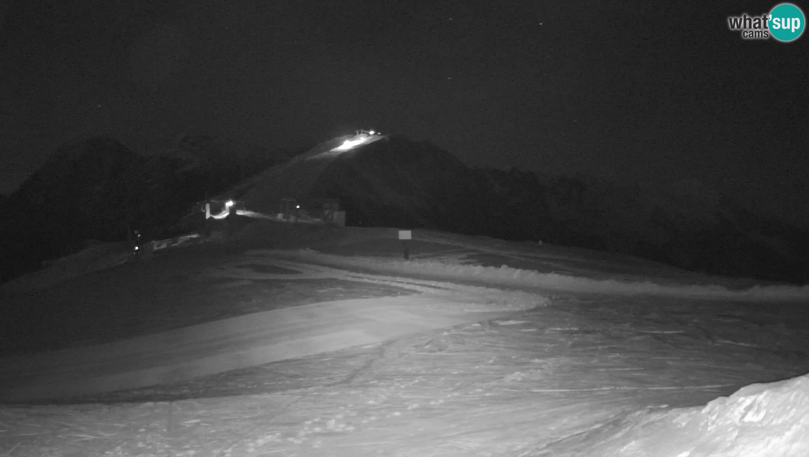 Krvavec livecam