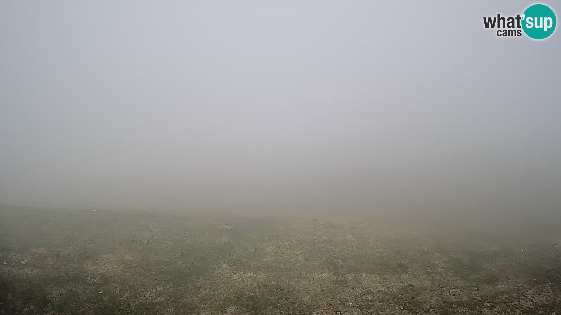 Krvavec livecam