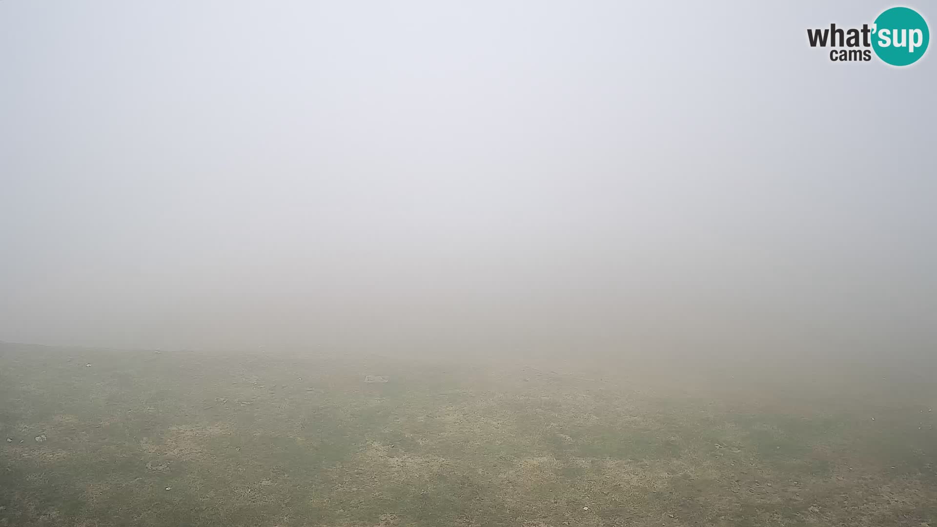 Krvavec livecam