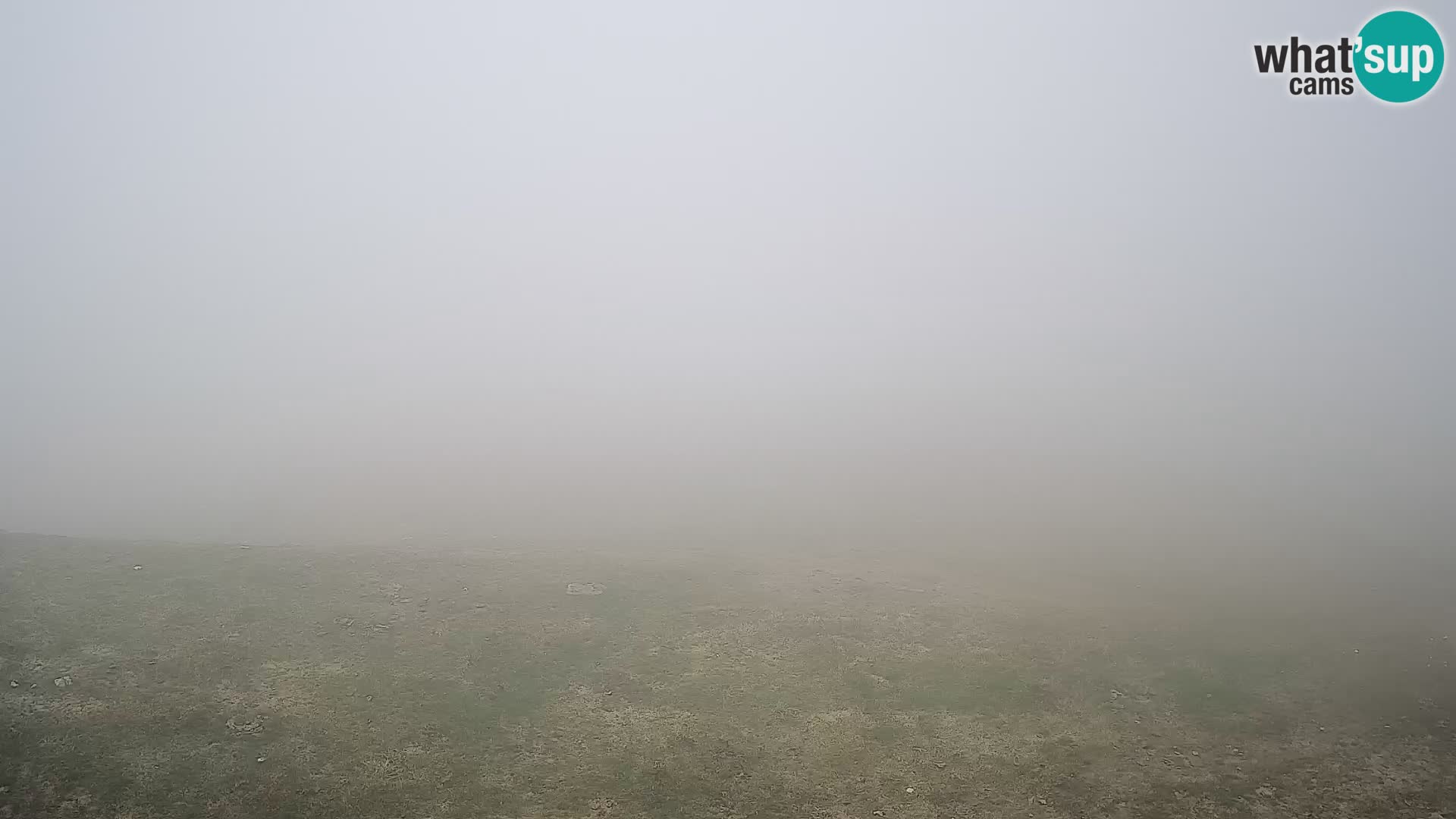 Krvavec livecam
