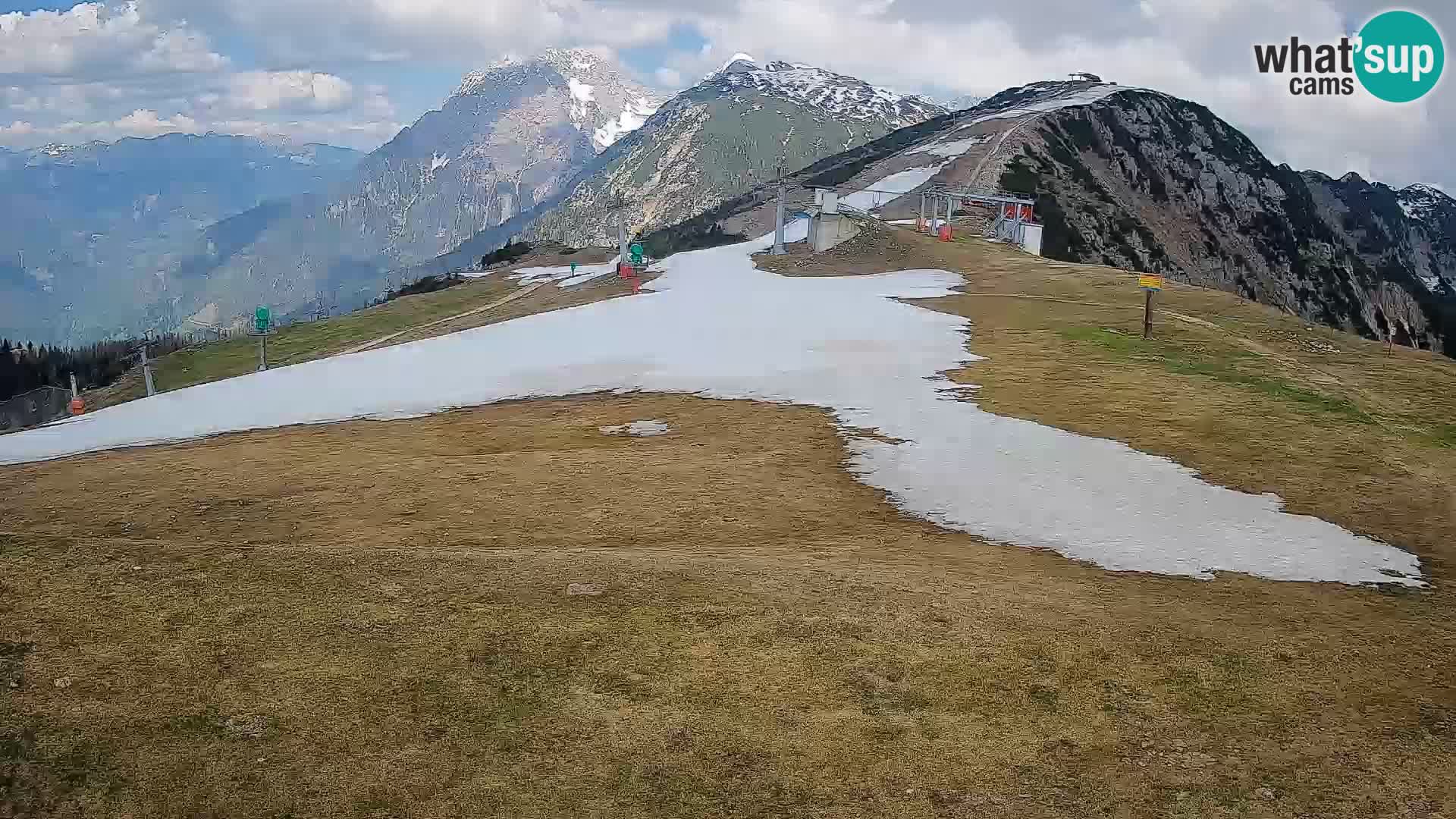 Krvavec livecam