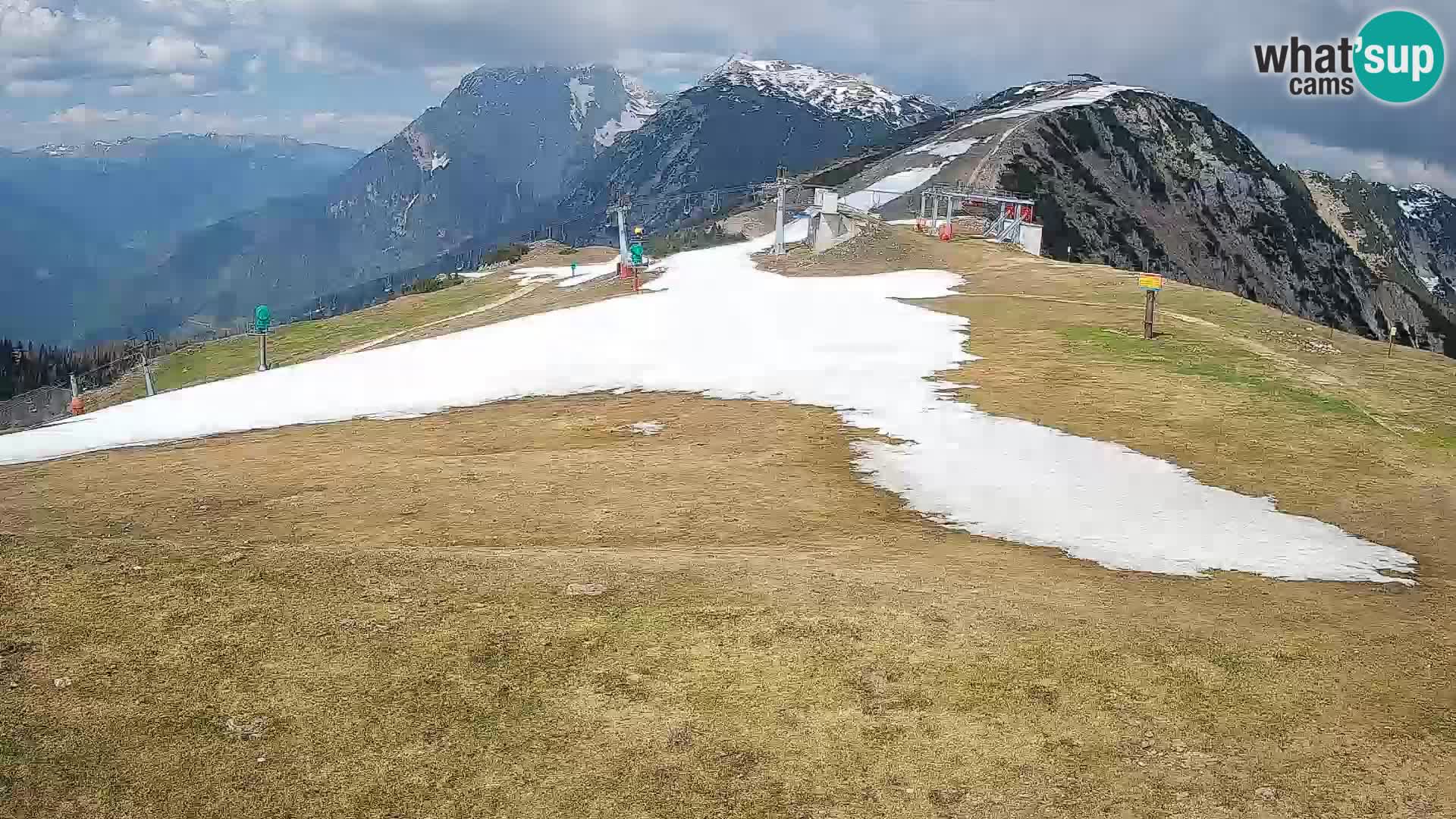 Krvavec livecam