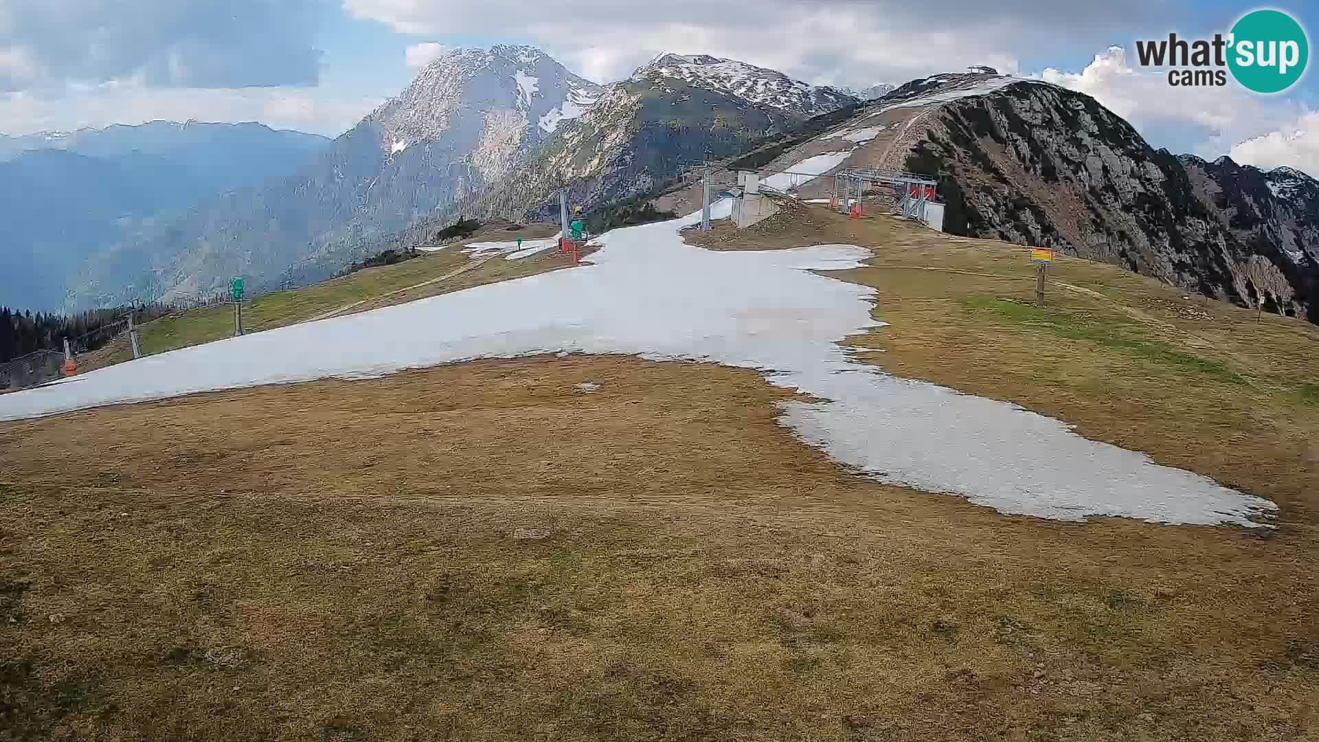 Krvavec livecam