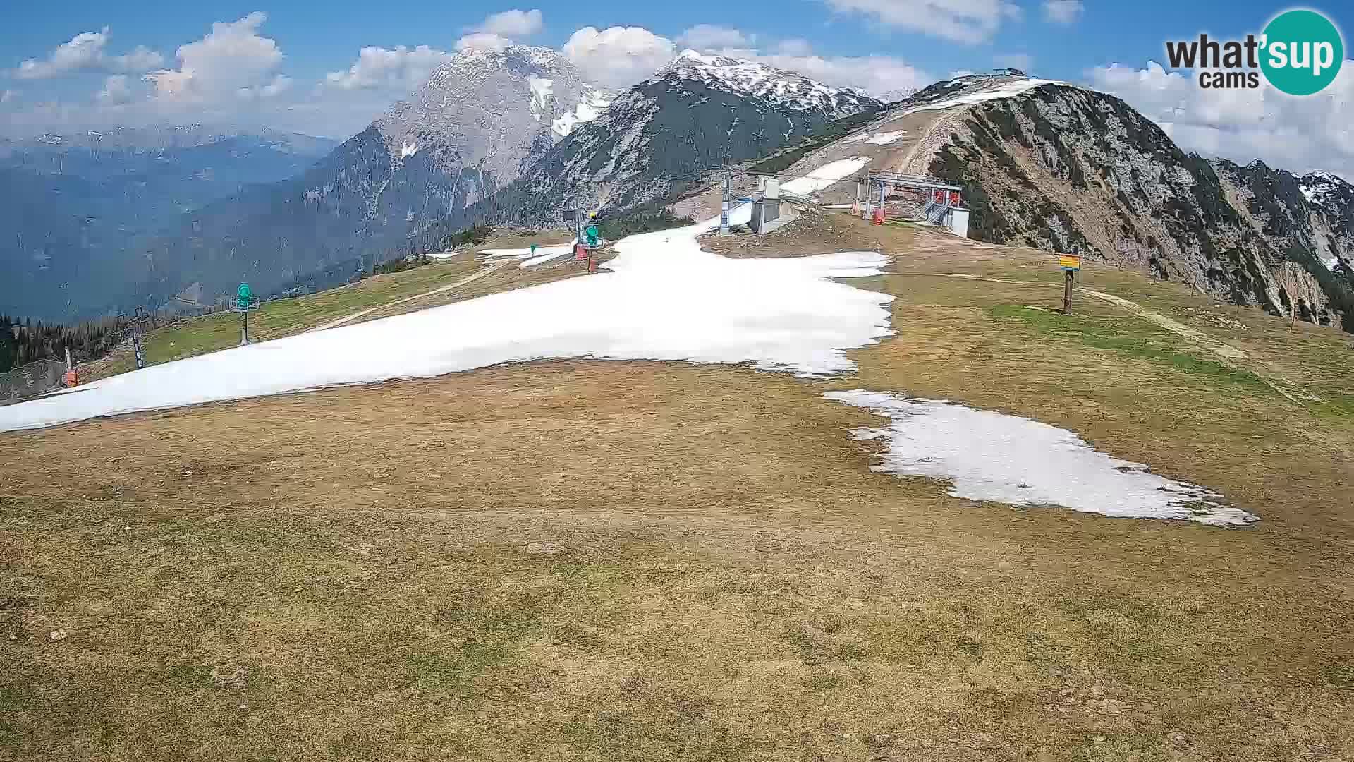 Krvavec livecam