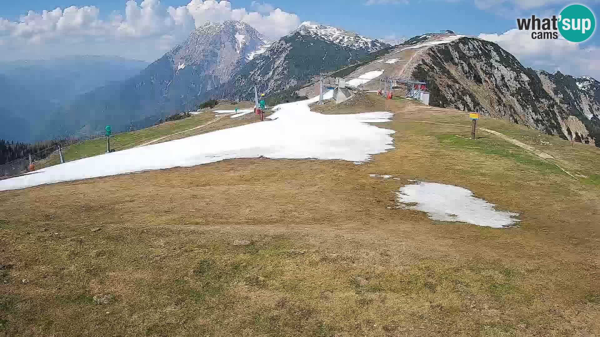 Krvavec livecam