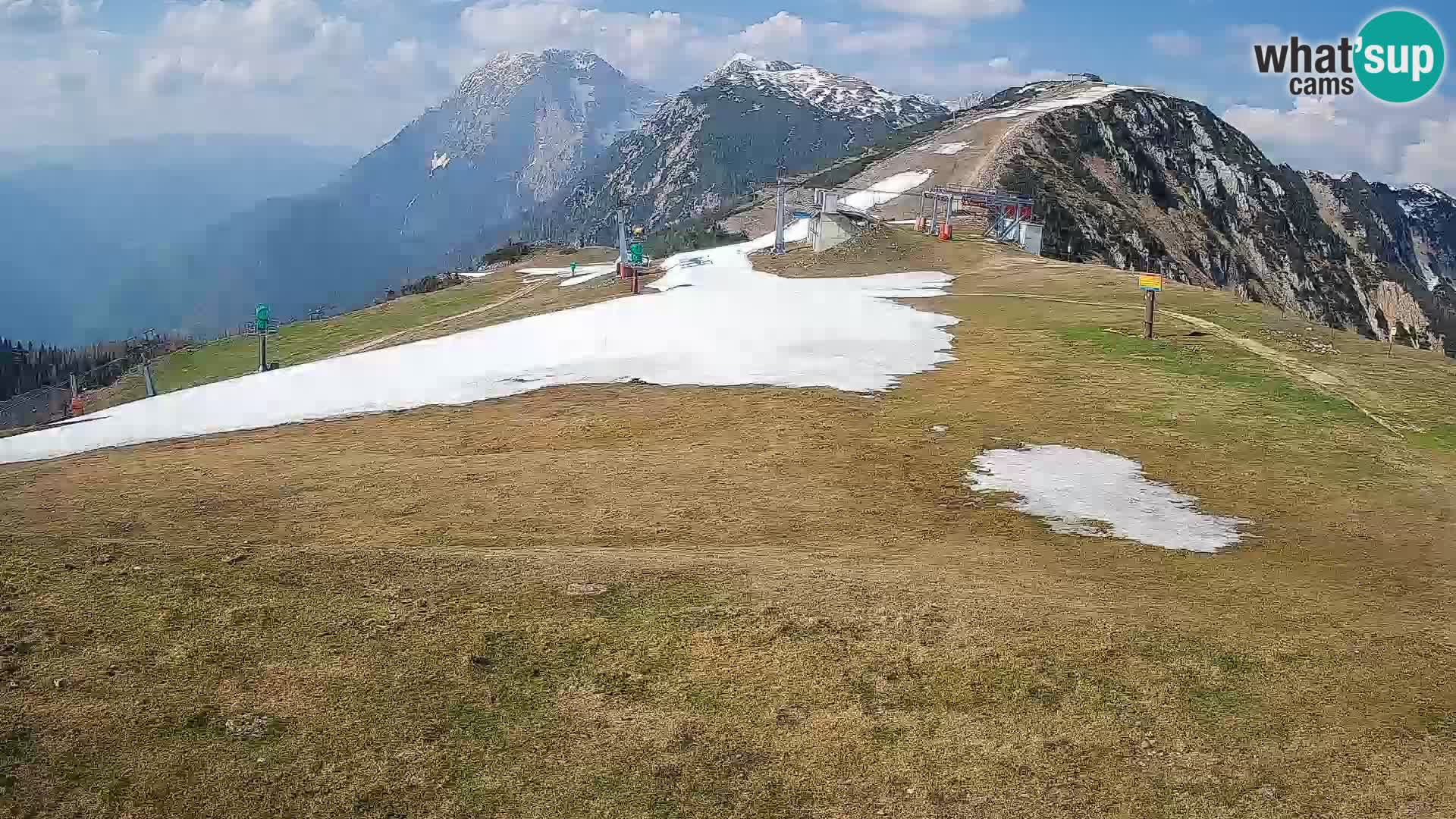 Krvavec livecam