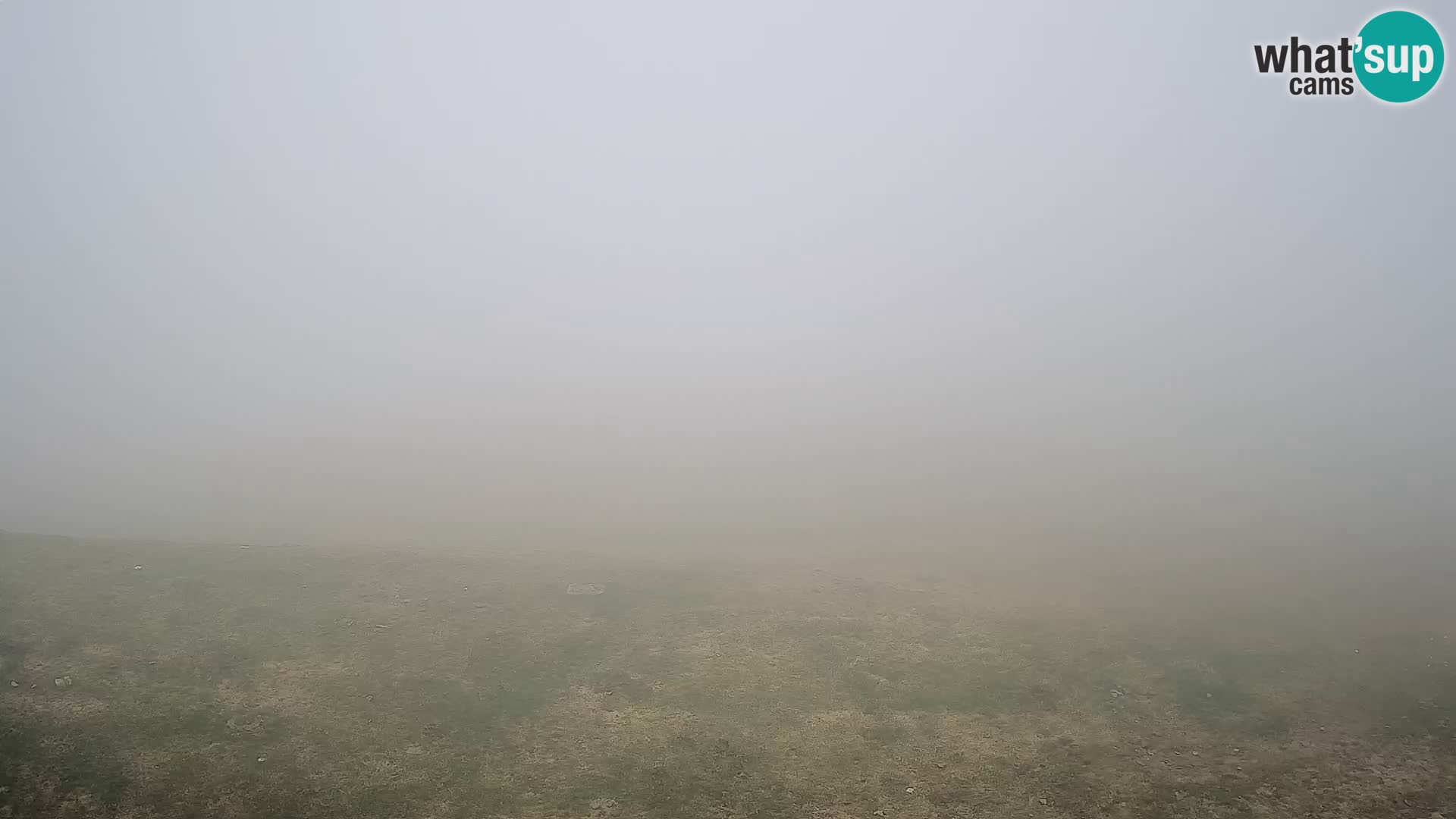Krvavec livecam