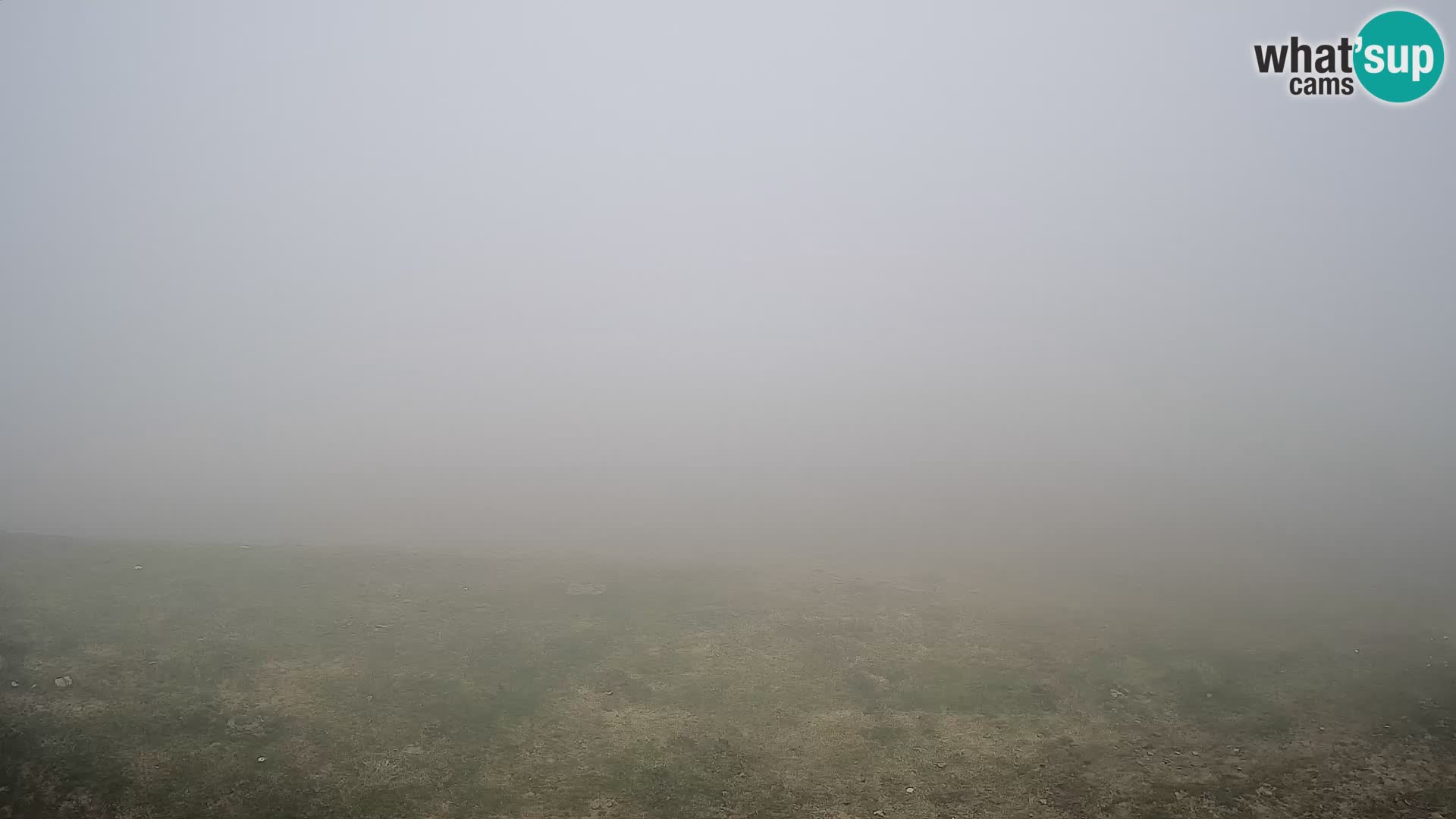 Krvavec livecam
