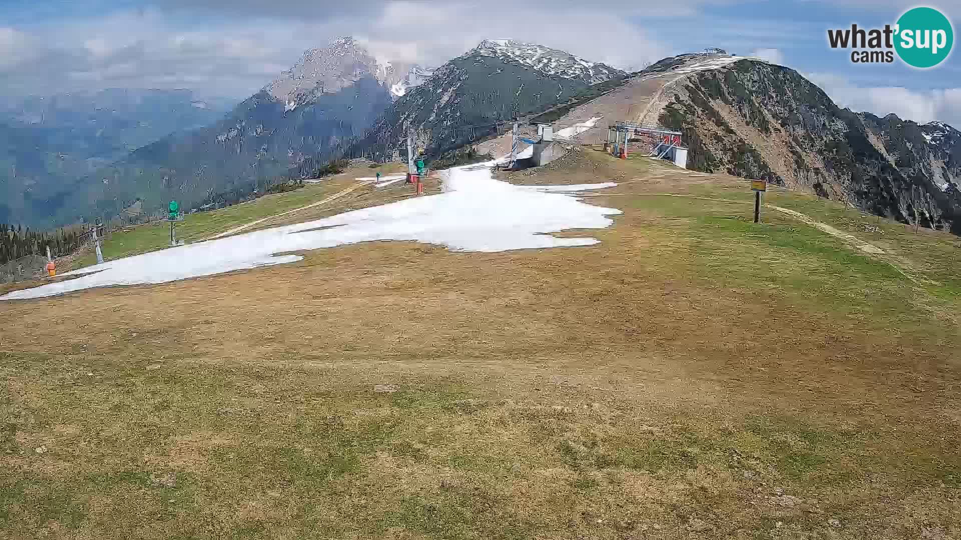 Krvavec livecam