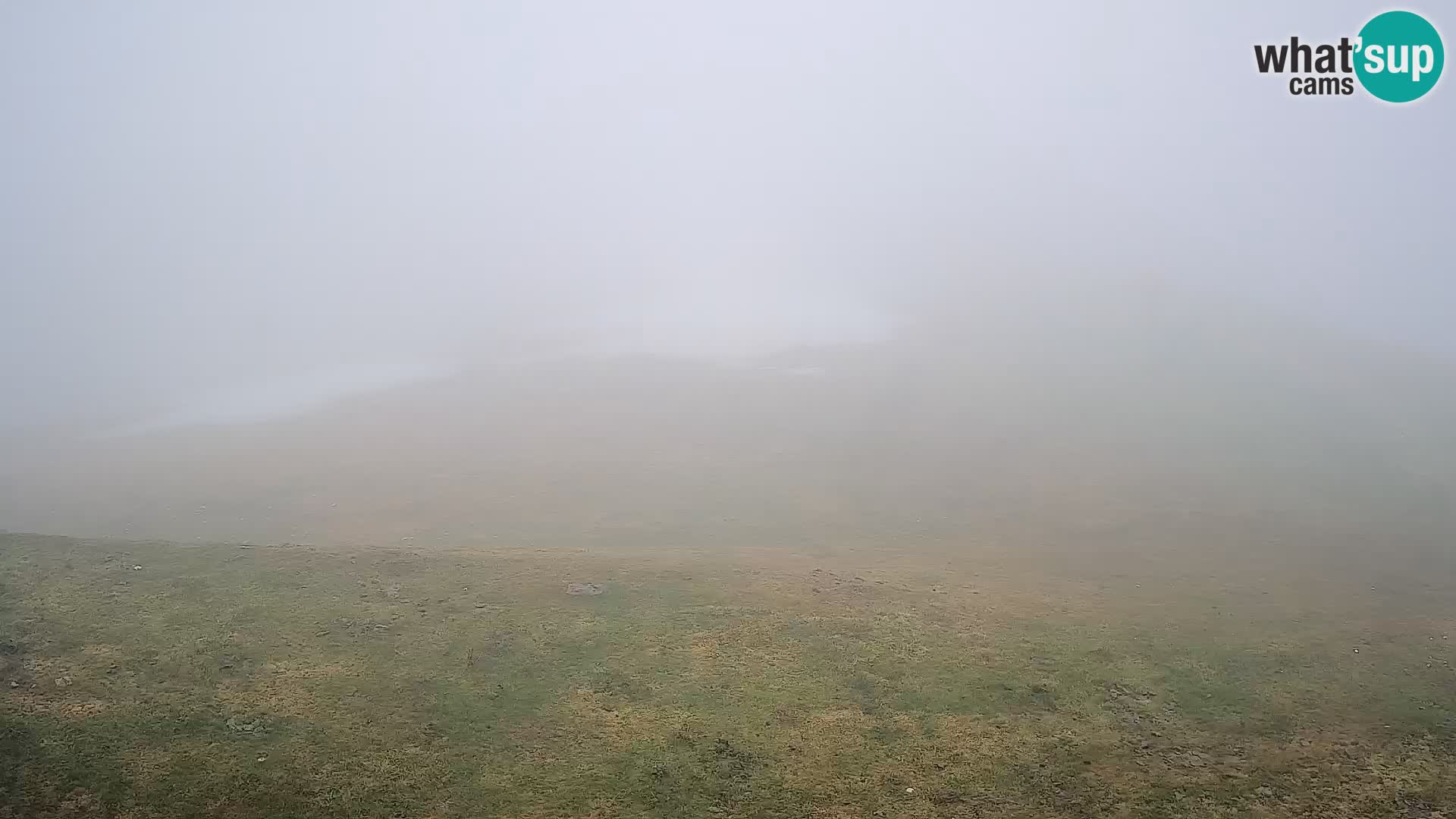 Krvavec livecam