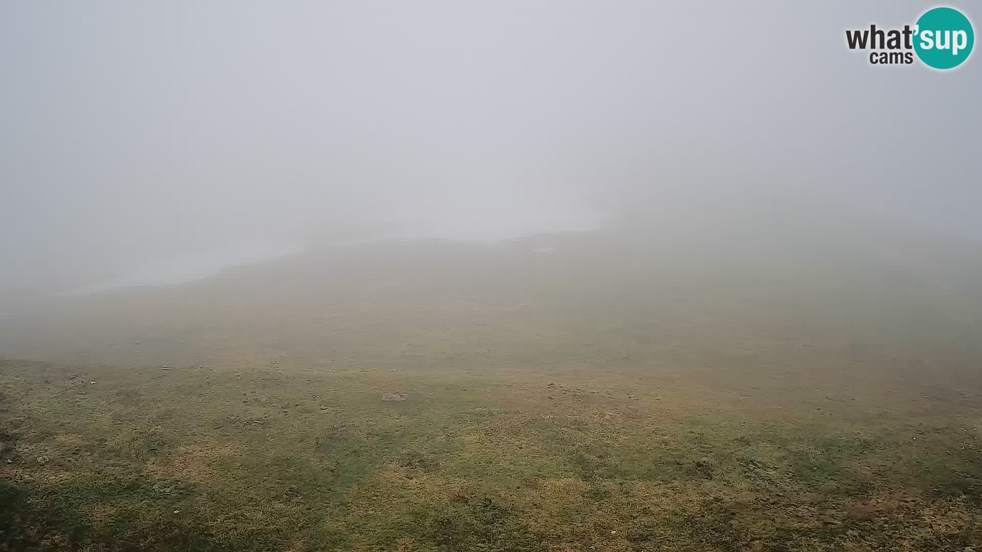 Krvavec livecam