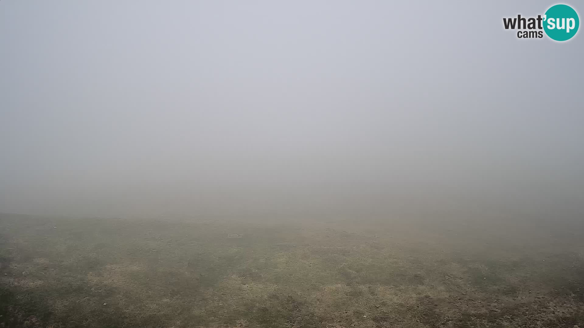 webcam Krvavec – top of the mountain
