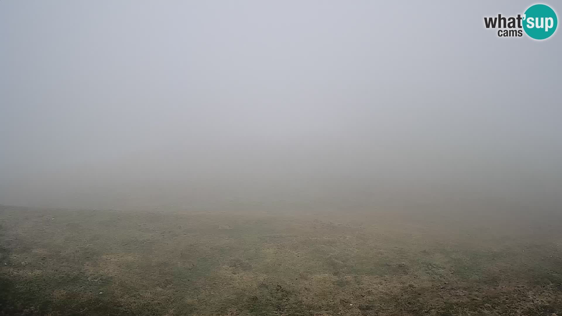 Krvavec livecam