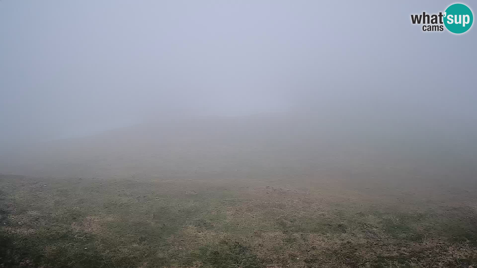 Krvavec livecam