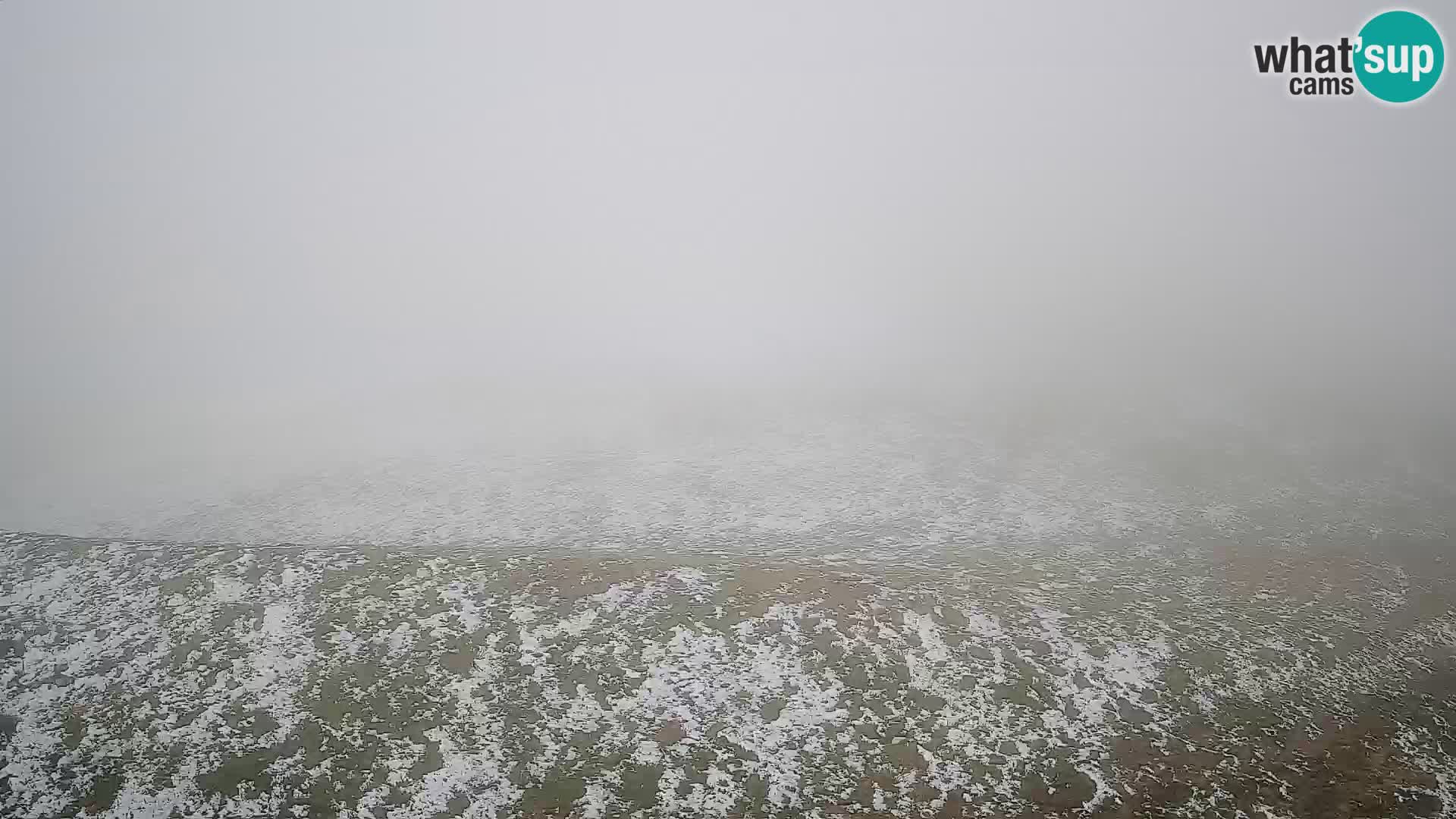 Krvavec livecam