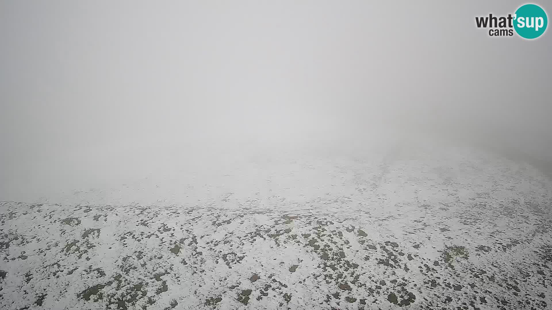 Krvavec livecam