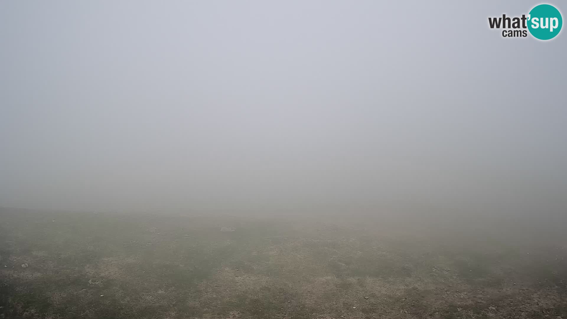 Krvavec livecam