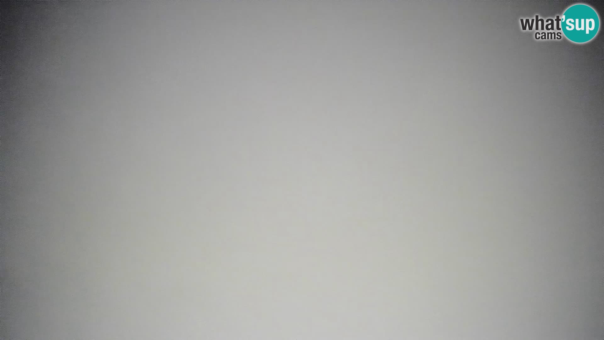 Krvavec livecam