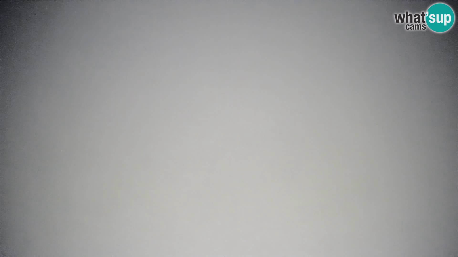 Krvavec livecam