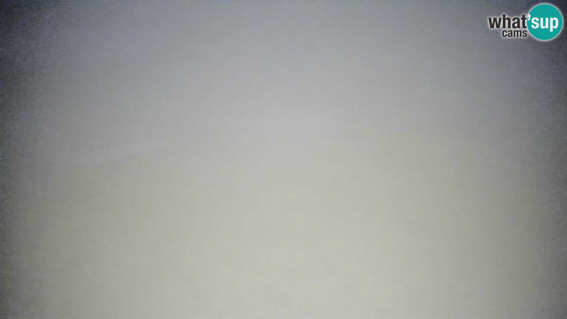 Krvavec livecam