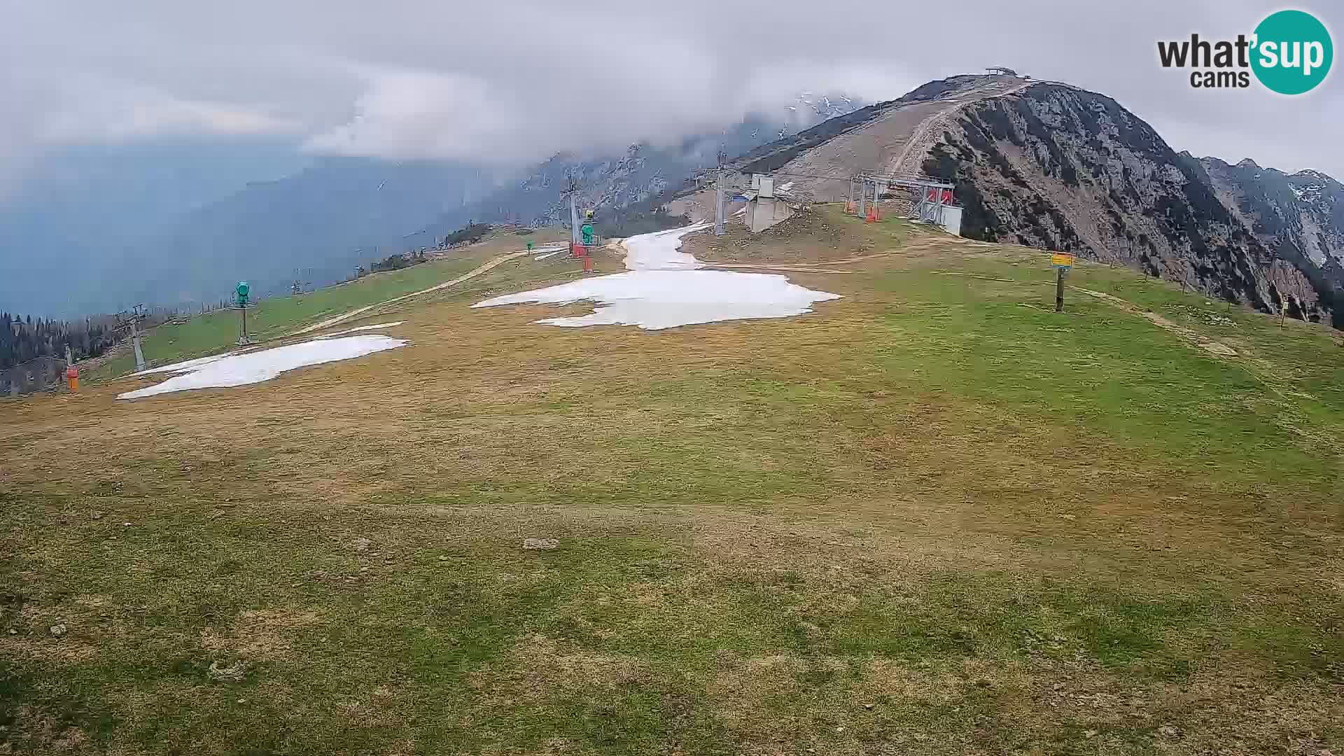 Krvavec livecam