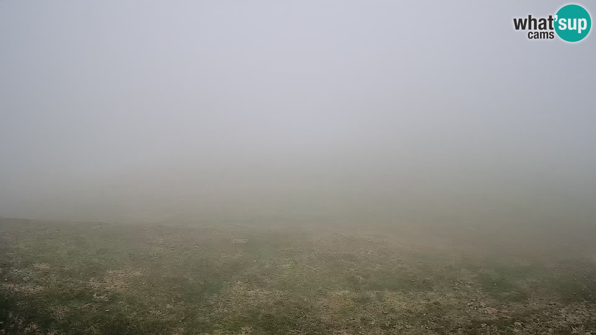 Krvavec livecam