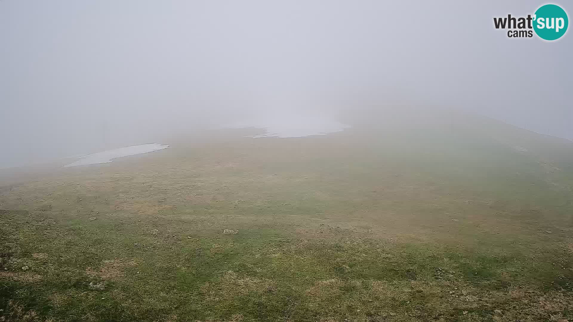 Krvavec livecam