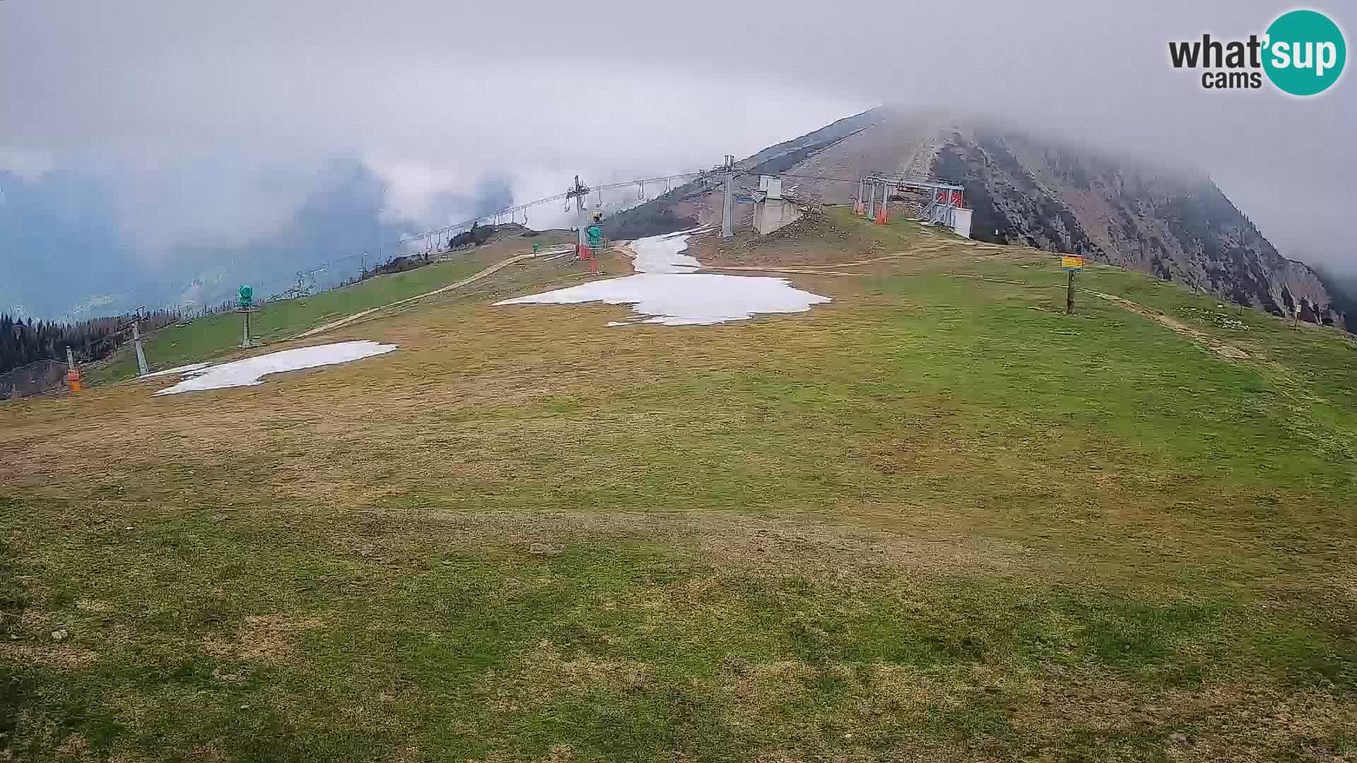 Krvavec livecam