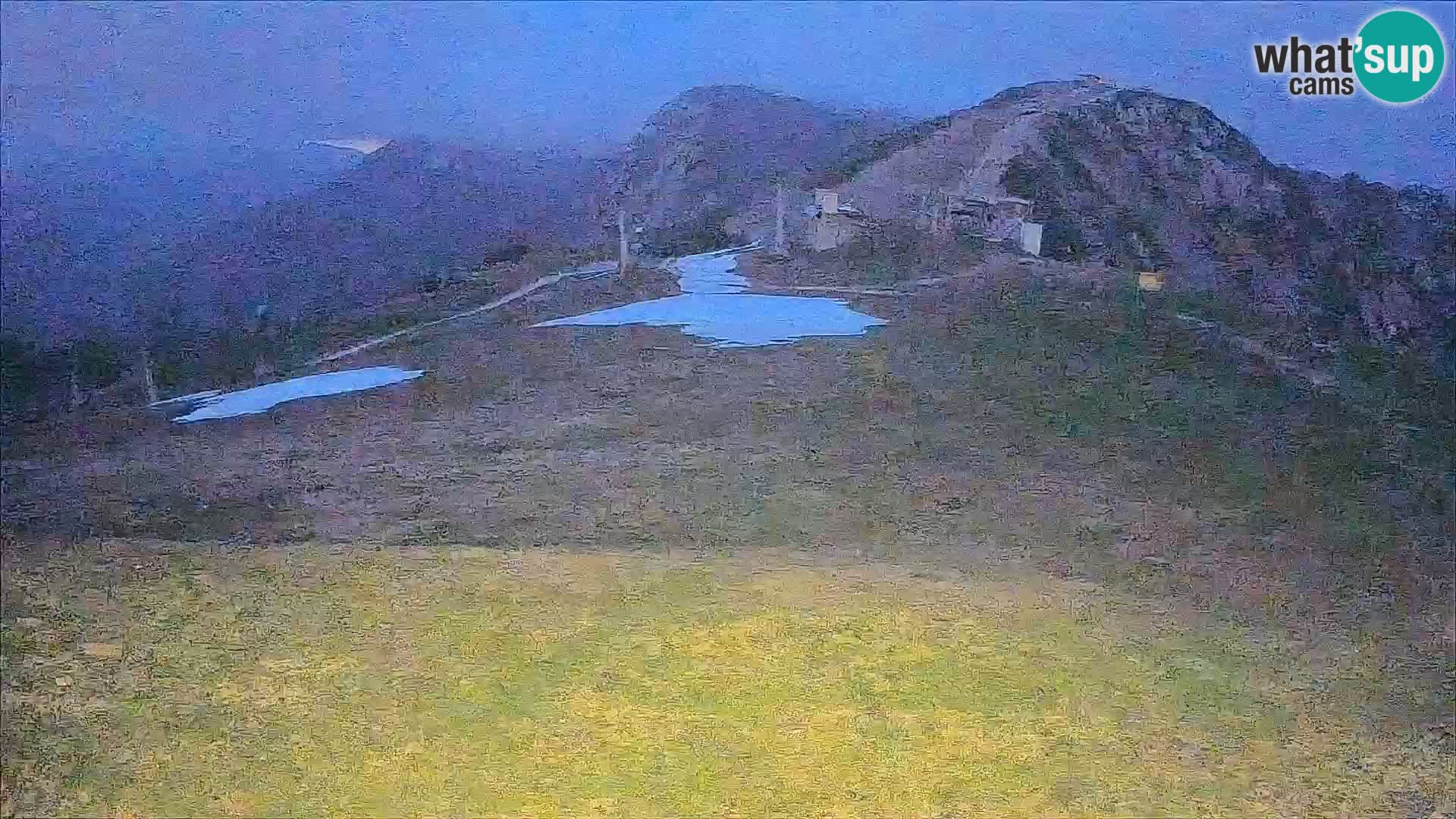 Krvavec livecam